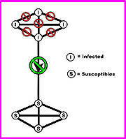 http://upload.wikimedia.org/wikipedia/en/thumb/5/5f/Small-WorldNetworks%28CrossOuts%29.jpg/180px-Small-WorldNetworks%28CrossOuts%29.jpg